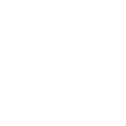 Shore Transport